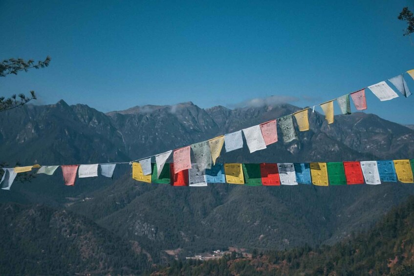 Picture 4 for Activity Black necked Crane Festival in Bhutan 2024