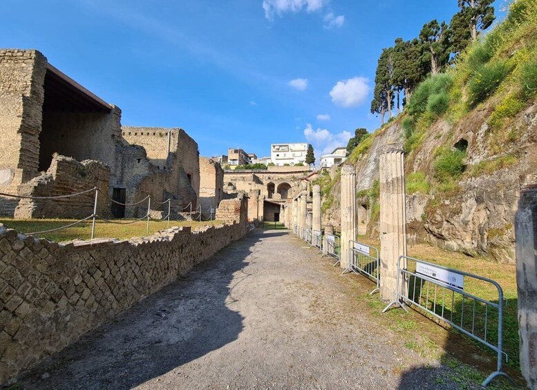 Picture 3 for Activity Herculaneum Archaeological Park smart Audio Tour