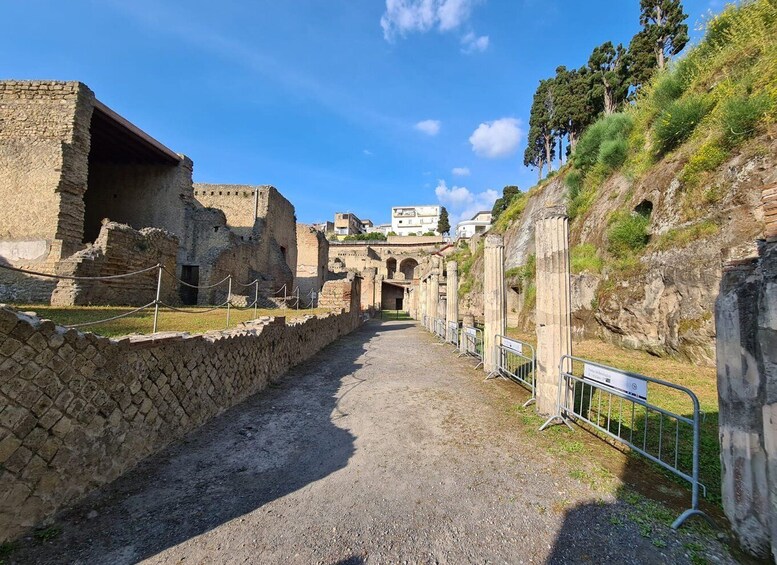 Picture 3 for Activity Herculaneum Archaeological Park smart Audio Tour