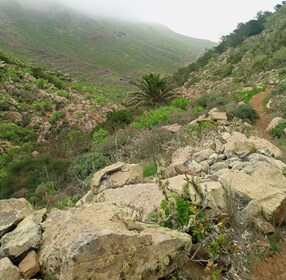 Hiking around the Valley of 1000 palms