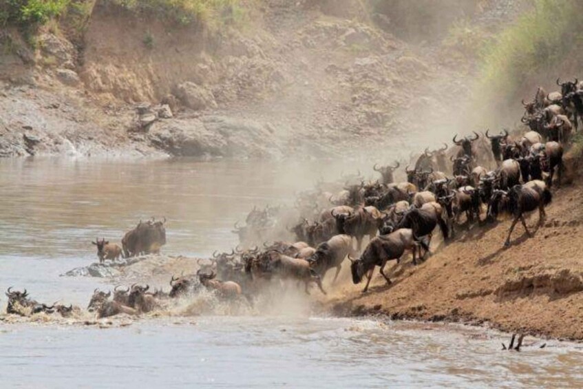 Picture 15 for Activity Kenya: 5 Days of Lake Nakuru & Masai Mara