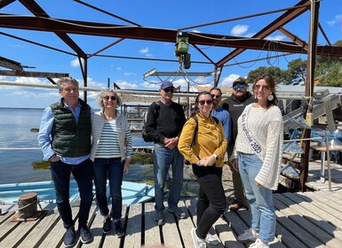 Montpellier:Entdecke die Stadt Sète, Austern und Weinberge