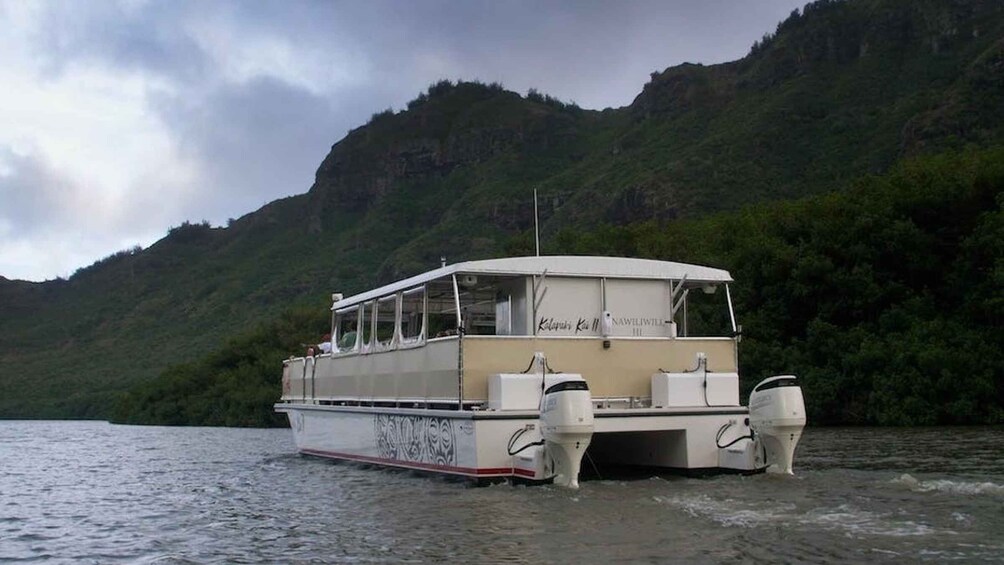 Picture 3 for Activity Kauai: Catamaran Sunset Cruise