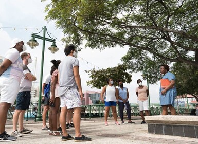 Bridgetown: Historic Guided Walking Tour