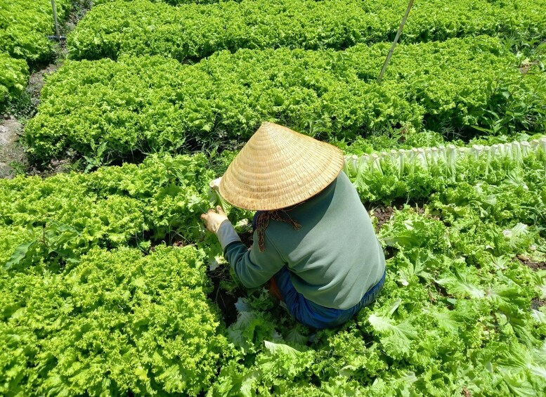 Picture 4 for Activity Motorcycle Tour - Exploring Dalat Countryside Day Tour