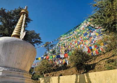 Best of Dharamshala with a local - Full Day Guided Tour
