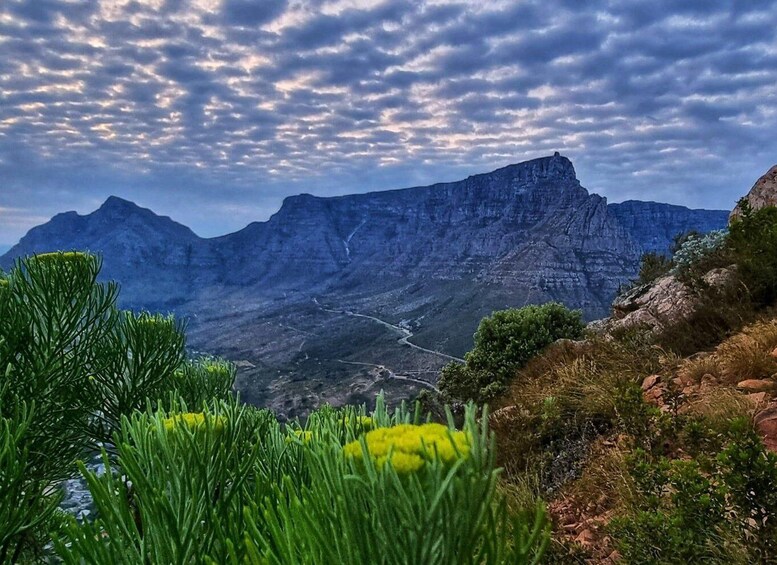 Picture 4 for Activity Cape Town: Lions Head Hike & Picnic