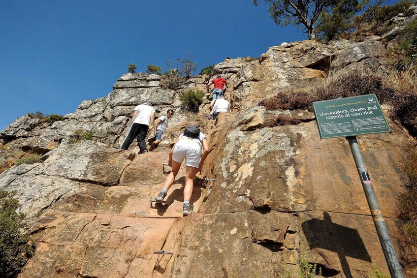 Picture 1 for Activity Cape Town: Lions Head Hike & Picnic