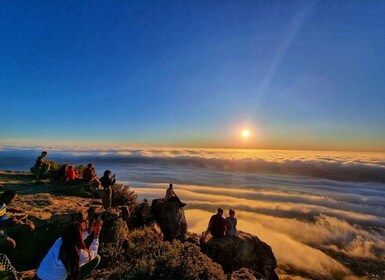 Ciudad del Cabo: caminata y picnic en Lions Head