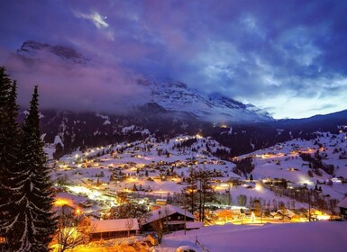 Interlaken & Grindelwald (Private tour )