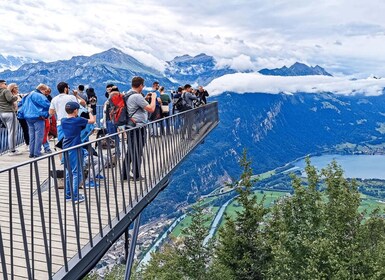 Interlaken & Grindelwald (Private tour )