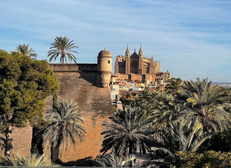 Picture 7 for Activity Palma de Mallorca: Old Town Atmospheric Evening Tour