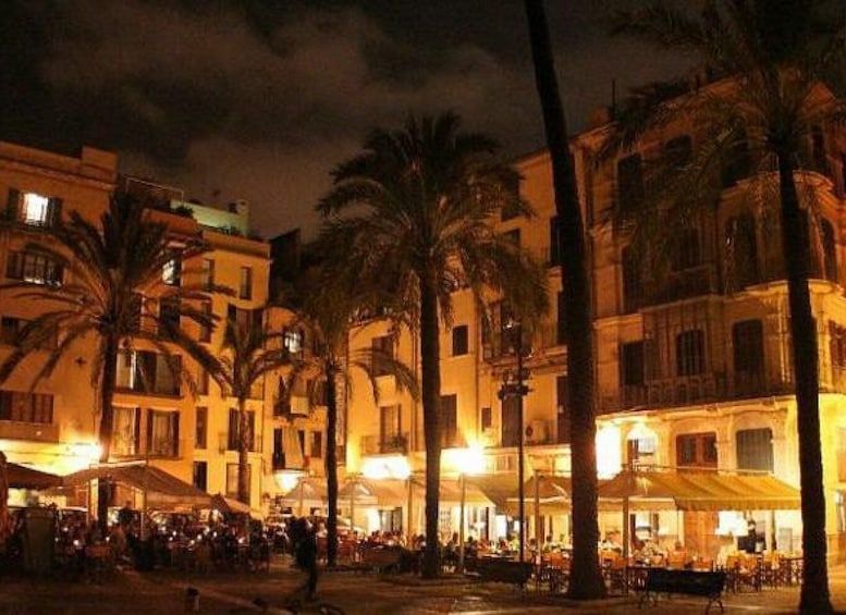 Picture 6 for Activity Palma de Mallorca: Old Town Tour and Tapas Bar by Night