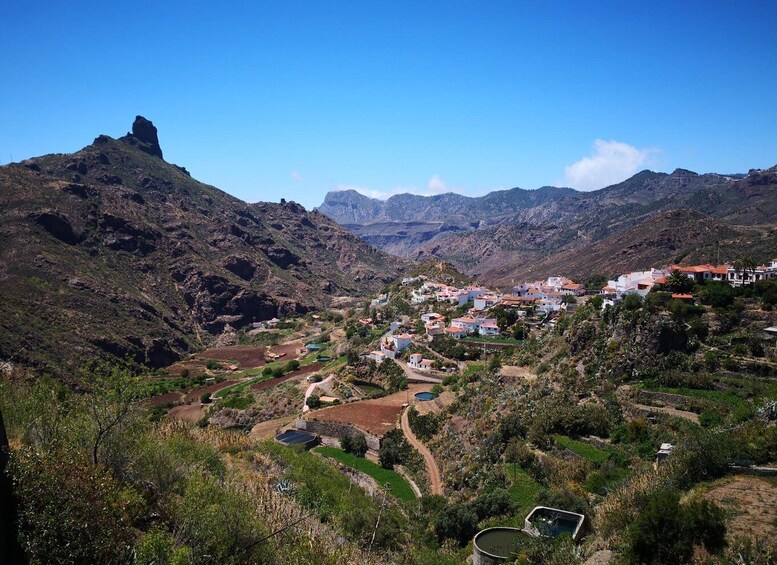 Picture 8 for Activity Gran Canaria: Customizable Private Tour