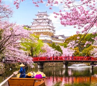 10-Day Private Guided Tour in Japan Moreover 60 Attractions