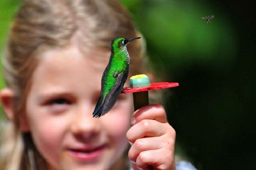 Picture 4 for Activity From San Jose: La Paz Waterfall Garden & Rainforest Tour