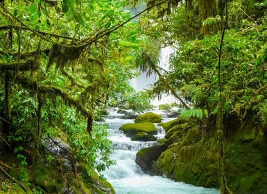 Desde San José: recorrido por el jardín de la cascada y la selva tropical d...