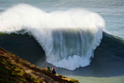 Från Lissabon: Privat transfer till Porto, med stopp vid Nazaré