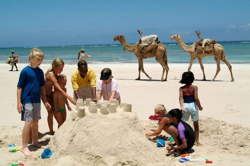 Picture 1 for Activity 7 Days Diani Beach Holiday .