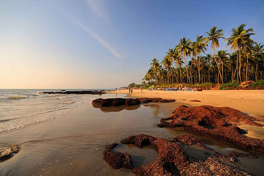 Picture 4 for Activity North Goa: Private Day Tour