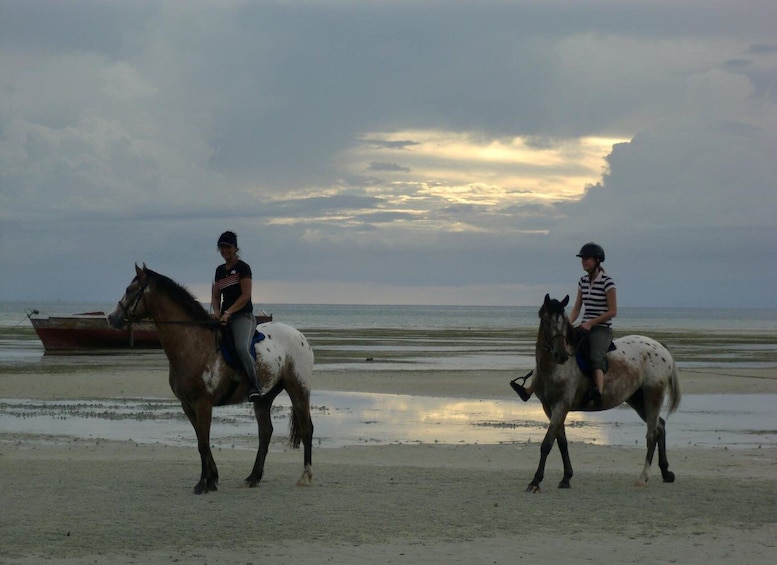 Picture 3 for Activity Zanzibar: Private Full-Day Highlights Tour with Horse Riding