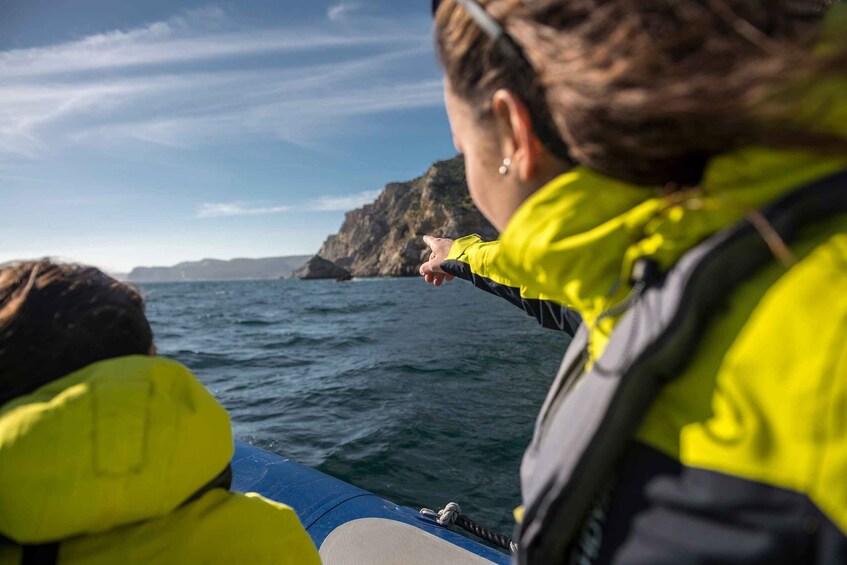 Picture 1 for Activity Sesimbra: Speedboat Tour of Arrabida Natural Park