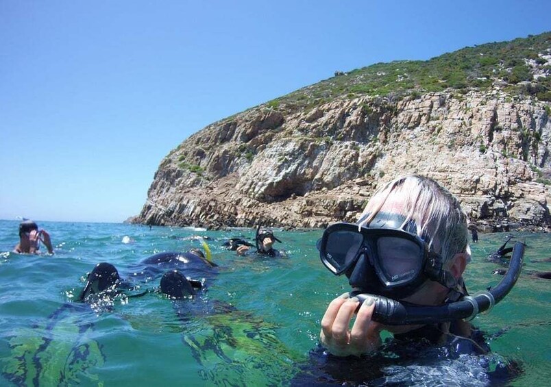 Picture 11 for Activity Plettenberg Bay: Swim with the Seals