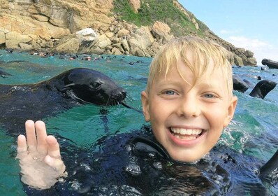 Plettenberg Bay: Swim with the Seals