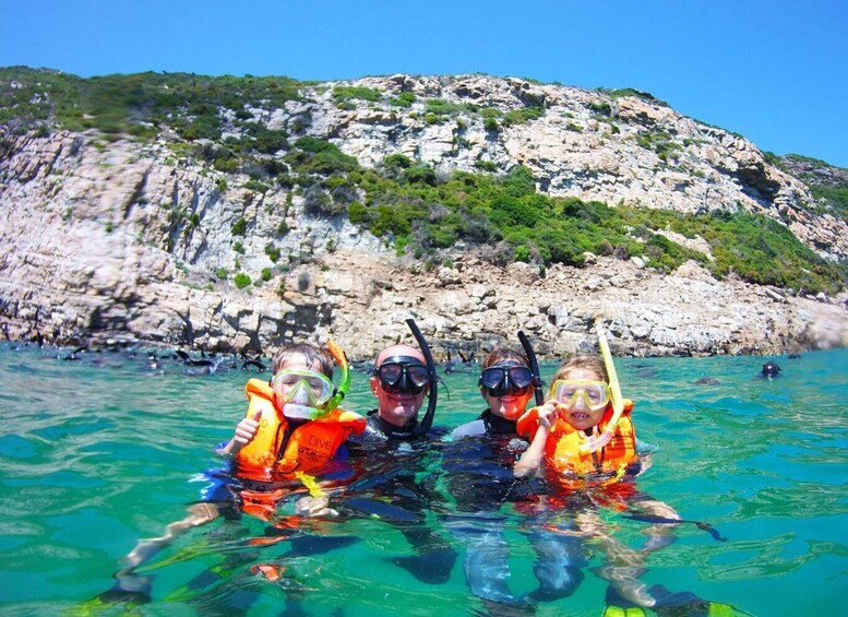 Picture 10 for Activity Plettenberg Bay: Swim with the Seals