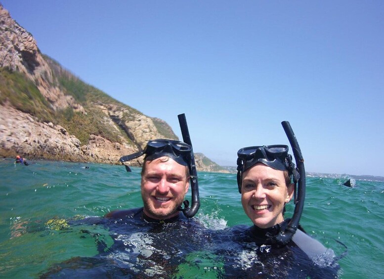 Picture 13 for Activity Plettenberg Bay: Swim with the Seals