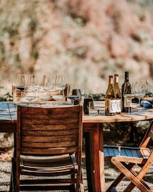 Sonoma: Explore Natural Wineries with a Local Sommelière