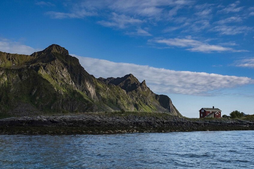 Picture 3 for Activity From Svolvaer: Trollfjorden Wildlife RIB Cruise