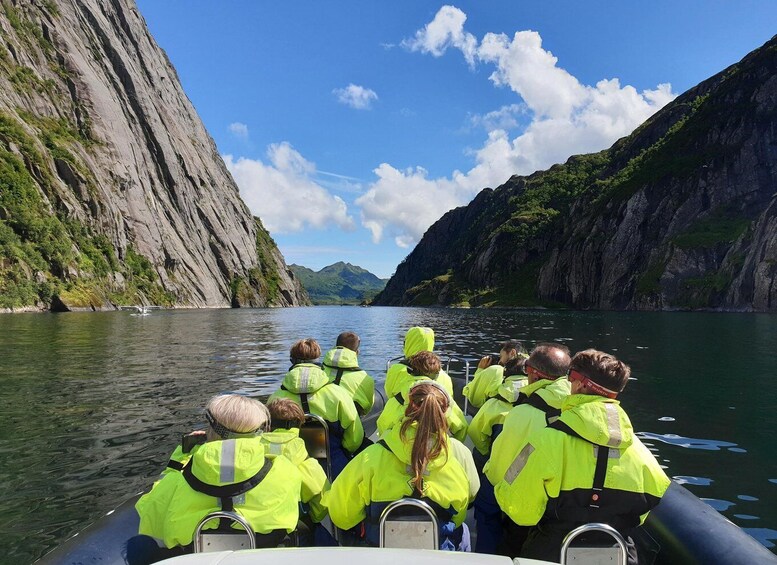 Picture 4 for Activity From Svolvaer: Trollfjorden Wildlife RIB Cruise