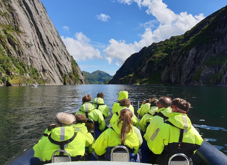 Picture 4 for Activity From Svolvaer: Trollfjorden Wildlife RIB Cruise