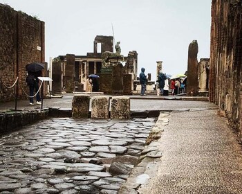 Pompeii in 2h and 30mnt: walk with local guide