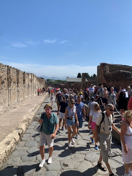 Picture 5 for Activity Pompeii in 2h and 30mnt: walk with local guide