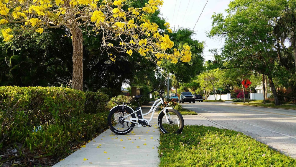 Picture 1 for Activity Bike Rental