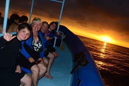 Manta Ray Snorkel in Kailua-Kona with Hot Cocoa