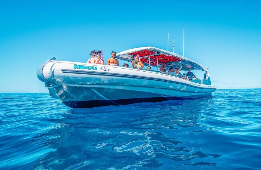 Picture 4 for Activity Kailua-Kona: Manta Ray Snorkeling with Hot Cocoa
