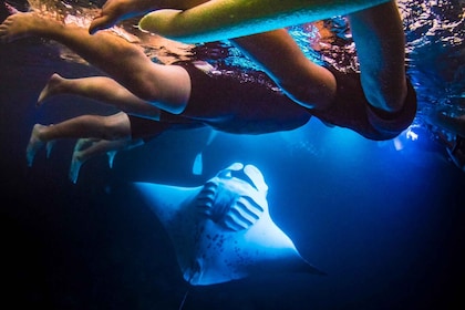 Manta Ray Snorkel in Kailua-Kona with Hot Cocoa