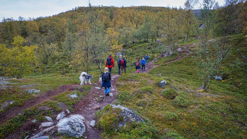 Picture 6 for Activity Hike to Orvvosfossen Waterfall