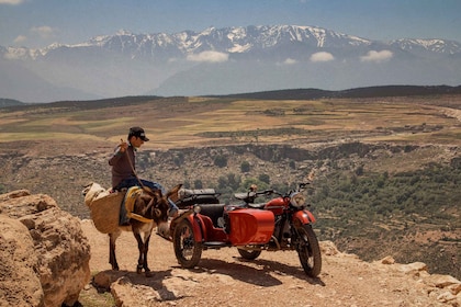 Marrakech: Vintage Sidecar Ride with Local Insights