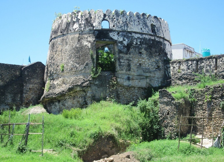 Picture 5 for Activity Stone Town Prison Island and Nakupenda Sandbank