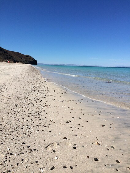 Picture 3 for Activity Mangroves & Beaches: Hiking Tour of Balandra, La Paz