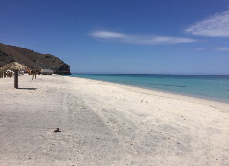 Picture 4 for Activity Mangroves & Beaches: Hiking Tour of Balandra, La Paz