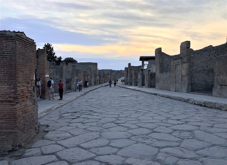 Picture 9 for Activity Pompeii: Highlights Guided Walking Tour