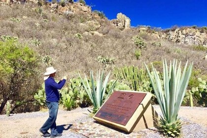 Oaxaca: Exclusive Private Yagul UNESCO Heritage Site Tour