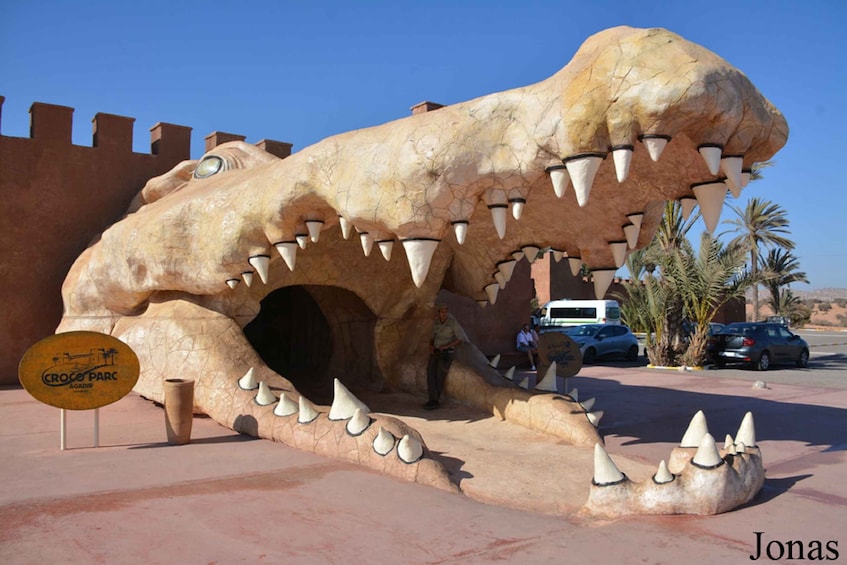 Picture 3 for Activity Agadir: Goat on trees & Crocopark including hotel pickup