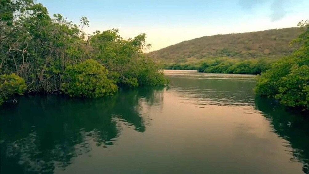Picture 6 for Activity From San Juan: Bioluminescent Bay Boat Tour and Hot Springs