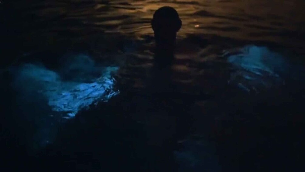 From San Juan: Bioluminescent Bay Boat Tour and Hot Springs